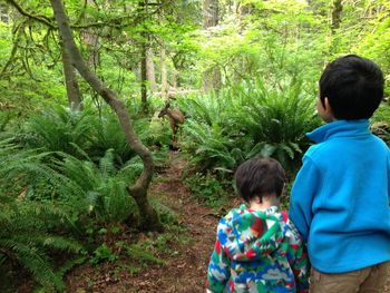 Rear view of boys standing by plants in forest