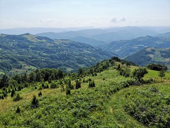 Scenic view of landscape against sky