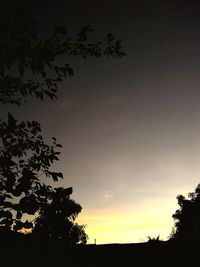 Low angle view of silhouette trees against sky at sunset