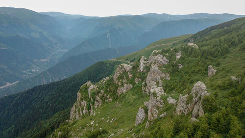 Mountain landscape with green grass / turkey / trabzon