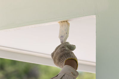 Close-up of lizard on window against wall