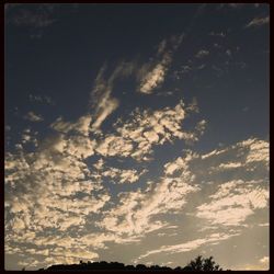 Low angle view of trees against cloudy sky