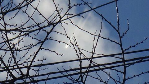 Low angle view of bare tree against sky