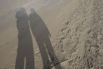 High angle view of people standing on beach