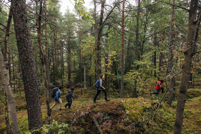 High angle view of family hiking in forest during vacation