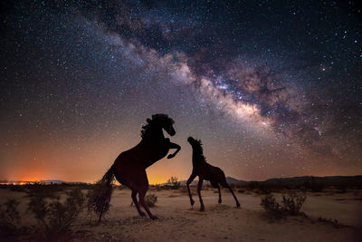 Full length of man standing on land against sky at night