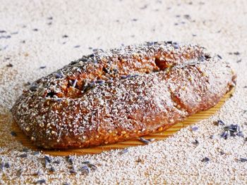 Close-up of crab on sand