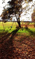 Trees on field against sky