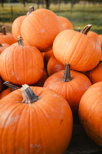 Detail of pile of pumpkins for halloween festivities, vertical