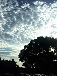 Low angle view of silhouette trees against sky