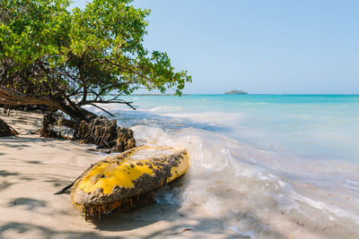 Scenic view of sea against clear sky