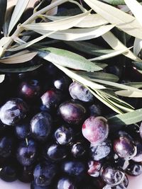 Full frame shot of blueberries