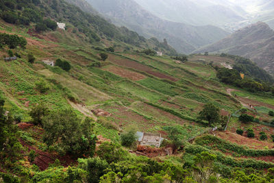 High angle view of green landscape