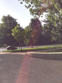 Footpath in park against sky