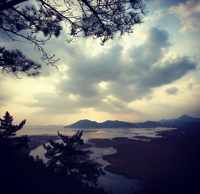 sky, tranquil scene, scenics, tranquility, beauty in nature, tree, mountain, cloud - sky, water, nature, sea, silhouette, cloudy, cloud, idyllic, branch, mountain range, non-urban scene, outdoors, sunset