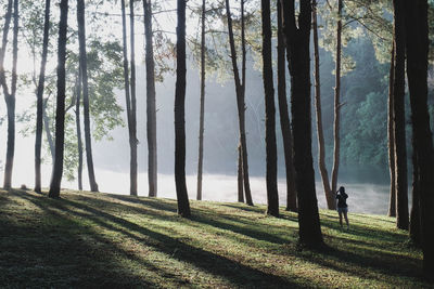 Woman photographing in forest