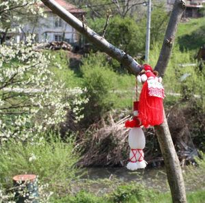 Full length of girl standing on tree trunk