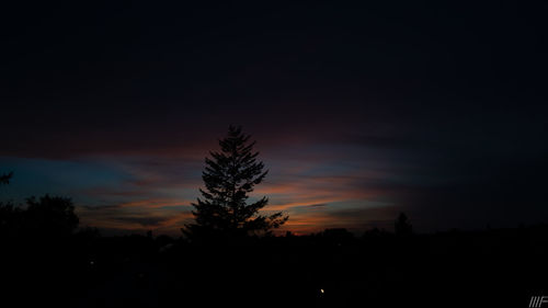 Silhouette trees against sky at sunset