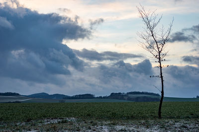 Scenic view of field against sky during sunset