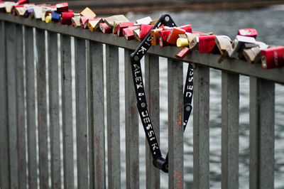 Close-up of padlock attached to metal fence