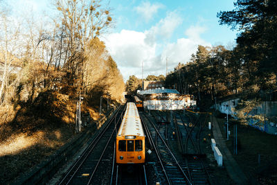 Railroad tracks amidst trees in city against sky