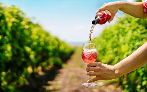 Man pouring wine in glass in vineyard