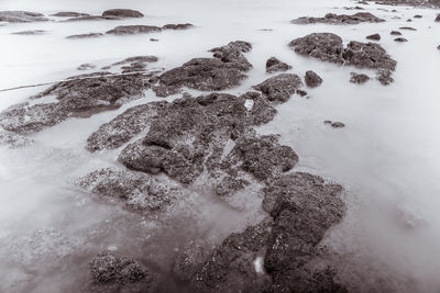 High angle view of rocks on shore during winter