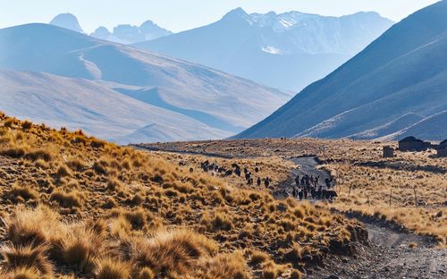Scenic view of landscape and mountains against sky pico austria hiking trail cordillera real bolivia 