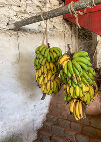 Close-up of fruits hanging on wall