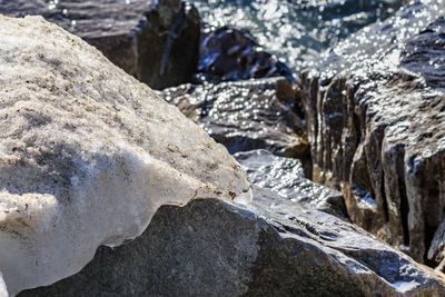 Close-up of snow on rock