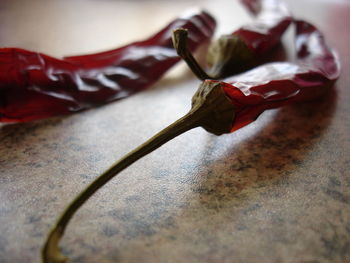 Close-up of dry red chili pepper