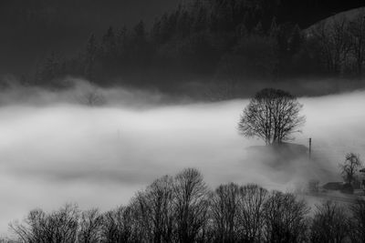 Bare trees on landscape against sky