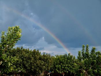 Low angle view of rainbow against sky