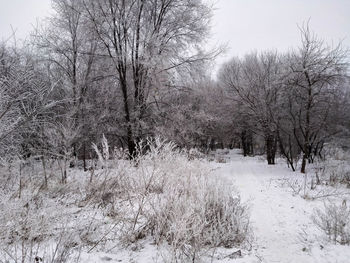 Bare trees on snow covered field against sky