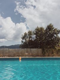 Swimming pool by trees against sky