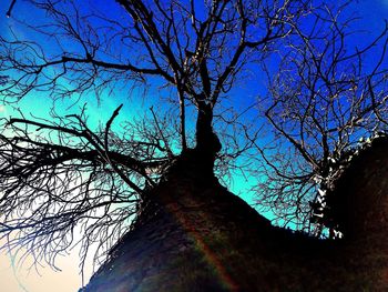 Low angle view of silhouette tree against sky