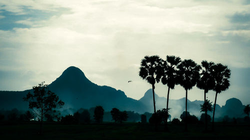 Silhouette trees on field against sky