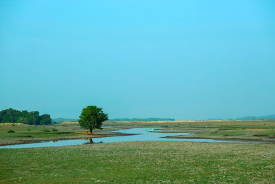 Scenic view of lake against clear sky