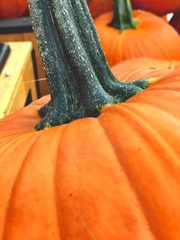 Close-up of pumpkin at market