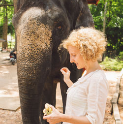 Side view of smiling woman feeding bananas to elephant