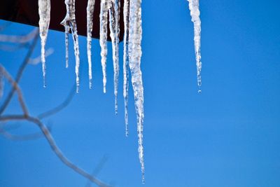 Low angle view of icicles against clear blue sky