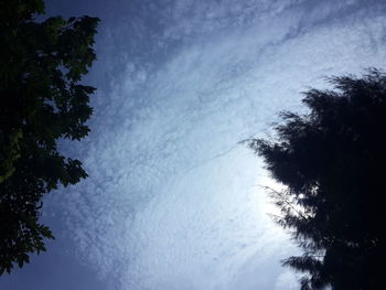 Low angle view of silhouette trees against blue sky