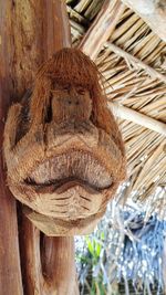 Close-up of wooden sculpture