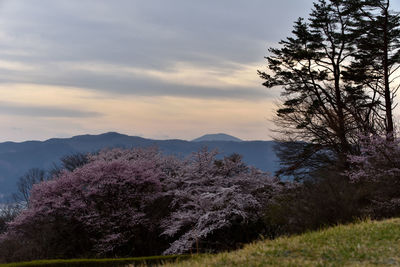 Scenic view of mountains against sky during sunset