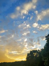 Low angle view of silhouette trees against sky