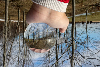 Close-up of hand holding crystal ball with reflection of bare trees