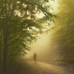 Rear view of silhouette man walking on road