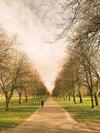 Rear view of woman walking on footpath amidst trees against sky