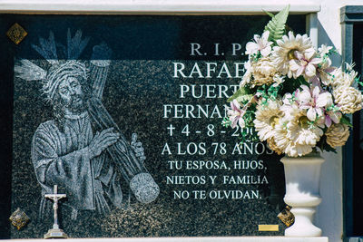 Close-up of text on plant at cemetery