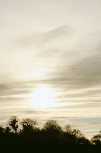 Low angle view of silhouette trees against sky during sunset